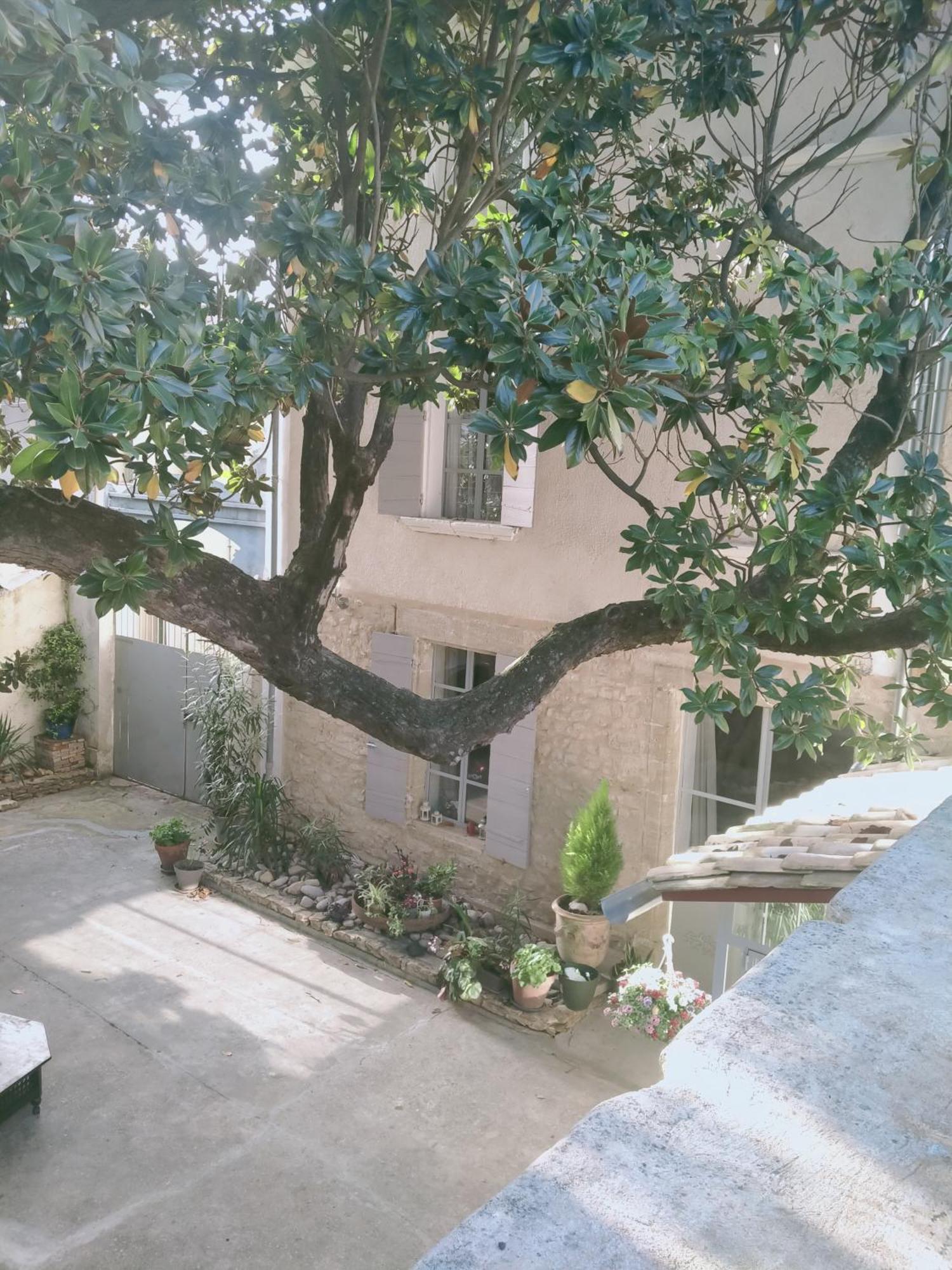 Chambres D'Hotes L'Atrium Orange  Dış mekan fotoğraf